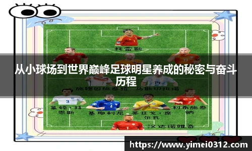 从小球场到世界巅峰足球明星养成的秘密与奋斗历程